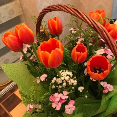 ccg71050235's profile picture. Би улс орон бүрт чадах бүхнээ хийж байна.
Дэлхий нийтээрээ амар амгалан байгаасай гэж би залбирч байна. 🙏🙏🙏🙏🙏