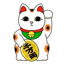猫が好き。日本中に癒しを