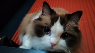 zhmOByztc7lqSJe's profile picture. 