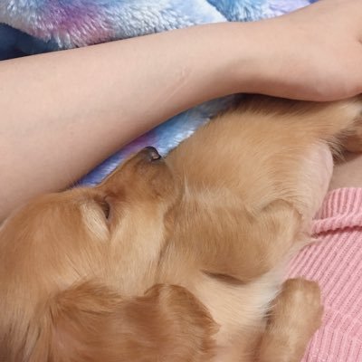 po3_m_'s profile picture. 好きなものを好きなように🐈‍⬛