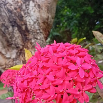 SanjayKudipudi's profile picture. Smile and smile and yet be a villain 😂😂🤣🤣