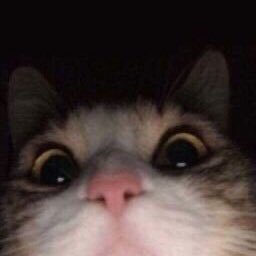 rev3rv's profile picture. jugando totk / valorant me consume