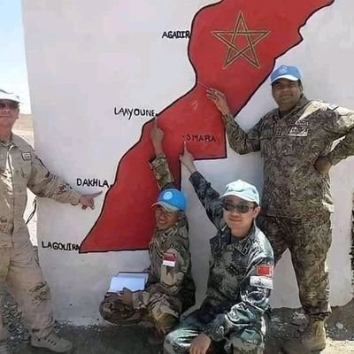 ErroudanyL's profile picture. 