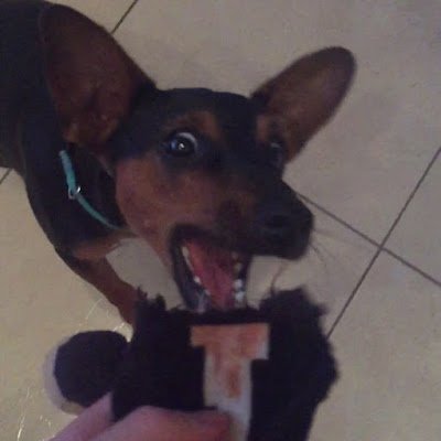 Ferg_aghhhh's profile picture. 