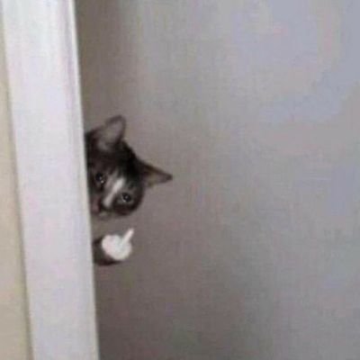 _Linoon_'s profile picture. 🌸 @_Linon_ :)

Je veux pas desac parce que Squeezie m'a RT