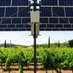 Agrivoltaïsme Sud-Ouest ☀️🌾 (@agrivolt_so) Twitter profile photo Agrivoltaïsme Sud-Ouest ☀️🌾 (@agrivolt_so) Twitter profile photo