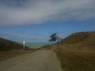 victroxoria's profile picture. 