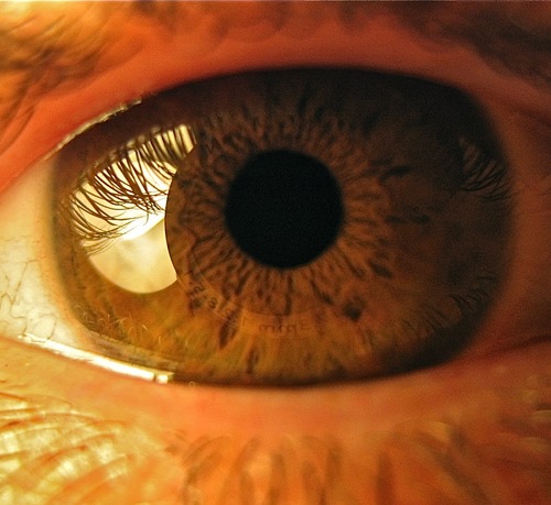 conteorlok's profile picture. Viviamo gioiosamente, non sofferenti tra le sofferenze.