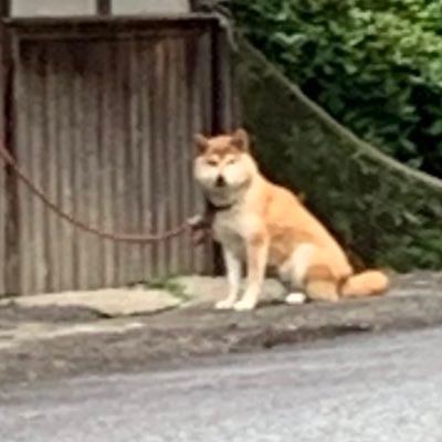 たすけてくれ~さんのプロフィール画像