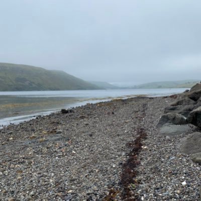 mrwilllet's profile picture. 