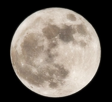 topfullmoon's profile picture. 