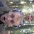 Raymond Klaassen (@rayday22) Twitter profile photo