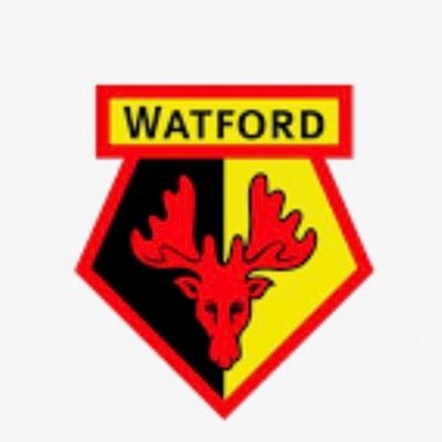 BobbyL0904's profile picture. 