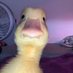 lllllllllll (@lllllll27292538) Twitter profile photo lllllllllll (@lllllll27292538) Twitter profile photo