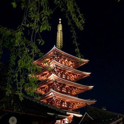 japantravelbugさんのプロフィール画像