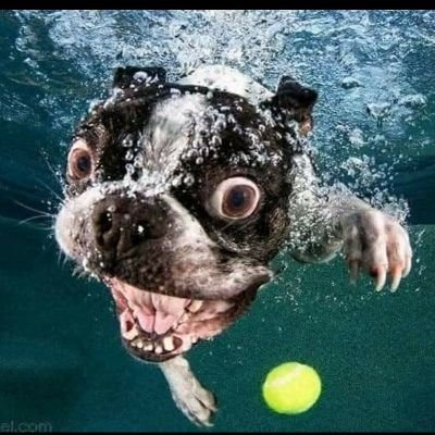 MSte1986's profile picture. #Nufc fan