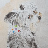 Roxie Sketches (@roxiesketches) 's Twitter Profile