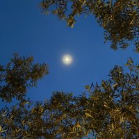 🌒 (@idrriver) Twitter profile photo