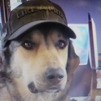 NickFehr (@nickfehr7) 's Twitter Profile