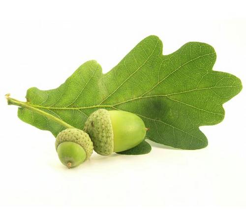 RossMartinTax's profile picture. Home of the unique Practical Tax Database for SME advisers and owners together with our Virtual Tax Partner technical support service.