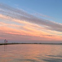 Simon Le Fevre (@simonlefevre319) 's Twitter Profile