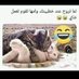 حبيب سوداني (@hbyb21512757) Twitter profile photo حبيب سوداني (@hbyb21512757) Twitter profile photo