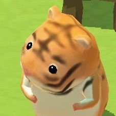 벅さんのプロフィール画像