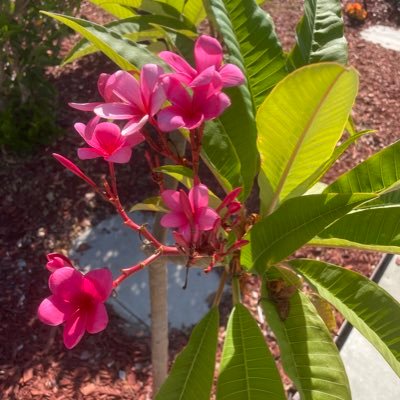 chloe_chose13's profile picture. 