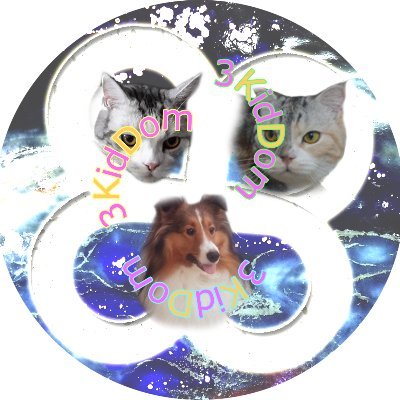 3kiddom's profile picture. "Han Loi Art Collection" creates NFT artworks for 3KidDom in Metaverse! Welcome to 3KidDom's Instagram & Opensea at "3KidDom", please stay tuned with us : )