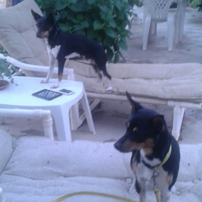 boditeresa962's profile picture. 