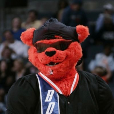 Mascot of the Charlotte Bobcats