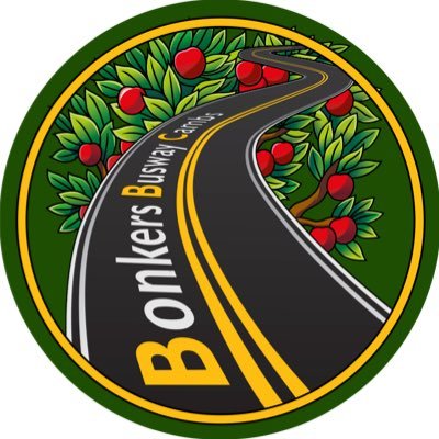 BonkersBusway Profile Picture