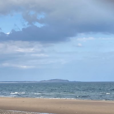 fifecontrarian's profile picture. Spina Bifida survivor. UK citizen. Man City supporter. New Scot according to Scot Gov. That’s enough.