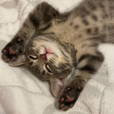 Shiponjka's profile picture. Я за справедливость!
Всех навальнистов в ЧС!