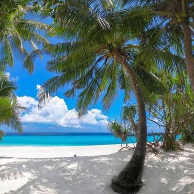 Aleksmburu2's profile picture. 