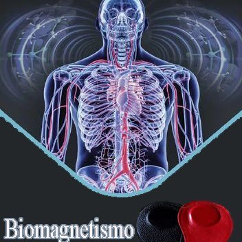 Biomagnetismo