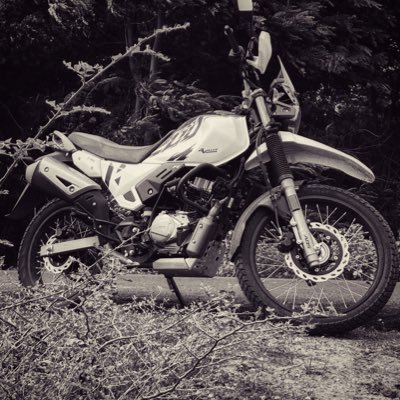 ajay_mz's profile picture. Live and let Live