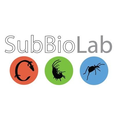 Subterranean biologists. Researching ecology and evolution of life underground.