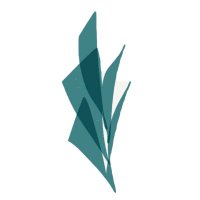 My OCD Care (@myocdcare) 's Twitter Profile