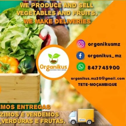 Produção e venda de legumes,verduras e frutas.
Contudo pode encontrar na ORGANIKUS outros produtos saudáveis como ovos de codorniz e de galinha,mel,galinhas etc