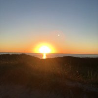 Elfriede (@elfriede_lg) 's Twitter Profile Photo