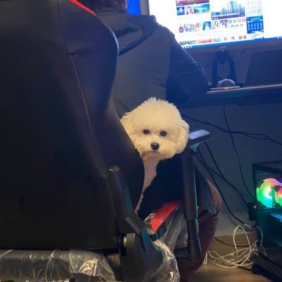 MandaZau's profile picture. Big Gamer NFT Collector Big fan of @GoGalaGames