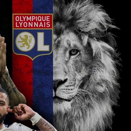 Fan de l'olympique Lyonnais.
Rouge et bleu 💉💯🦁