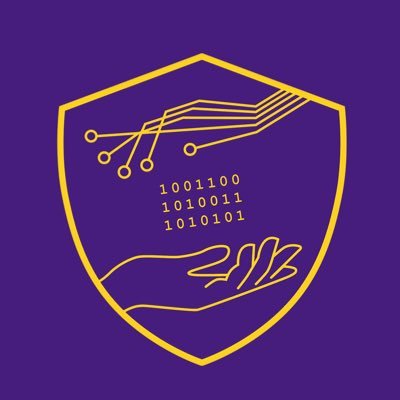 LSU Cybersecurity Profile
