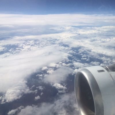 TRFranger0917's profile picture. 