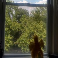 Noseboop (@darklantern00) 's Twitter Profile