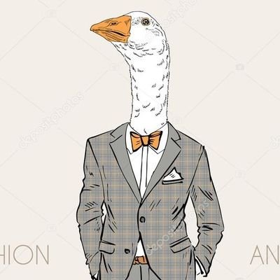 What do I know? I'm just a goose 🤷‍♂️
certified real estate simpleton 
not financial advice