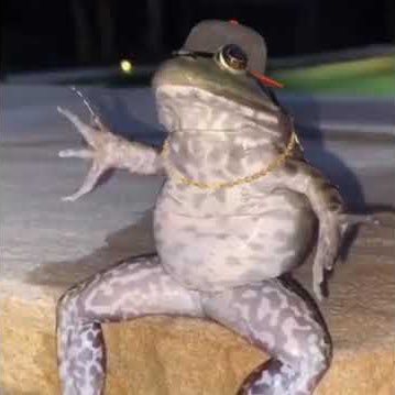 oToastyuWu's profile picture. Keepin it Lemon Zesty, not so stressy, not so depressy

Up and coming Valorant Streamer!