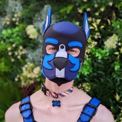 🔞 | 25 | he/him | 🏳️🌈 | Just a dumb dog with a big bone | Alpha to @pup_shadowmn