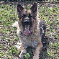 Mike1973 (@mike197314) 's Twitter Profile